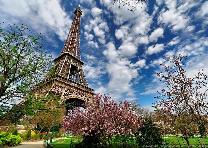 Near Invalides Unesco Eiffel Tower Montparnasse * 파리
